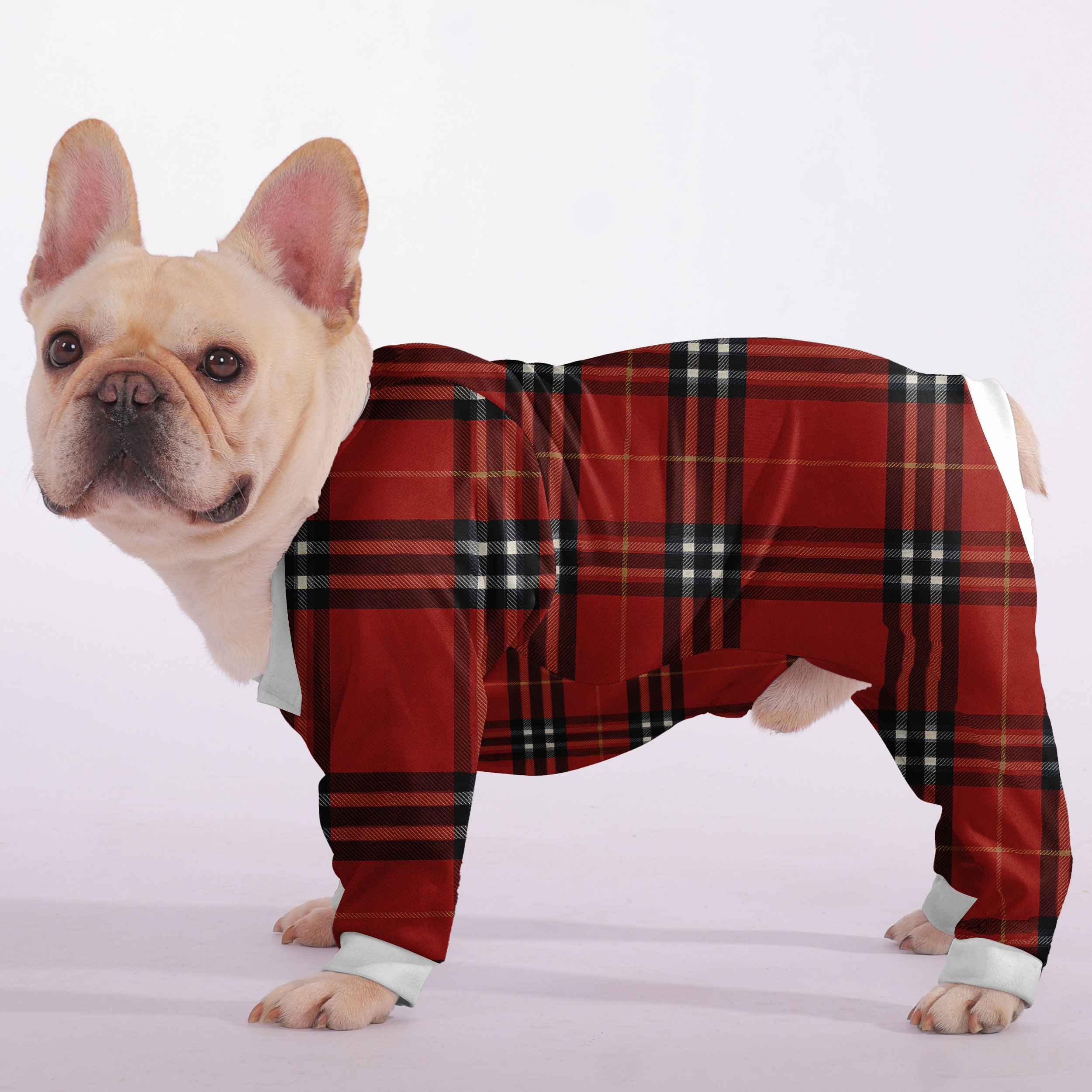 Pajamas for French bulldog