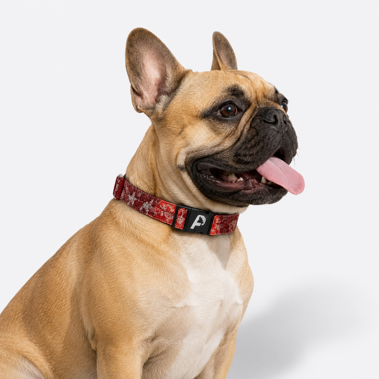 French Bulldog Cotton Padded Floral Collar
