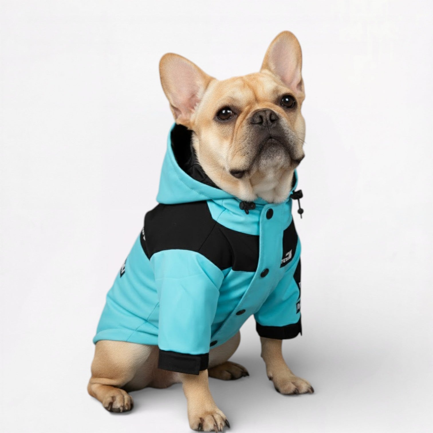 AquaPaw French Bulldog Raincoat – Windproof Hooded Dog Jacket - Frenchie.us