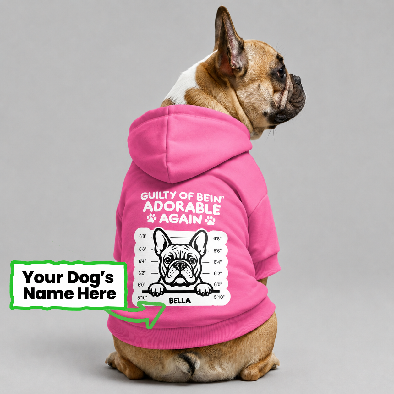 BELLA - Personalized French Bulldog hoodies with funny quotes and your furry friend's name – 100% Cotton