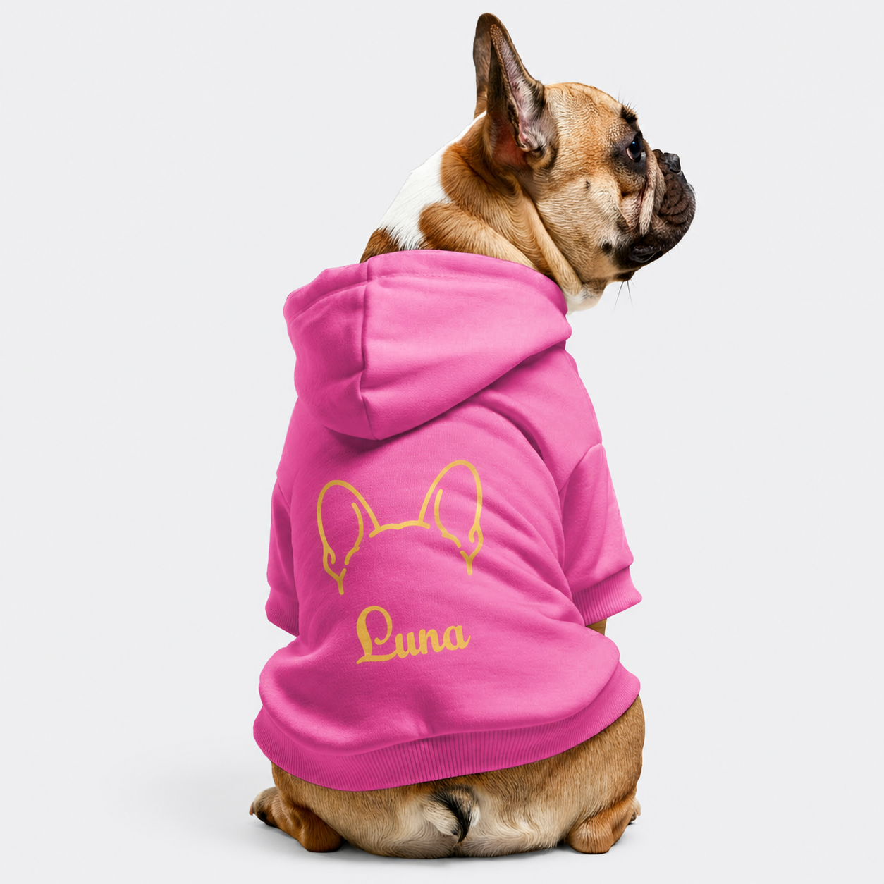 Luna - Personalized French Bulldog hoodies with funny quotes and your furry friend's name – 100% Cotton