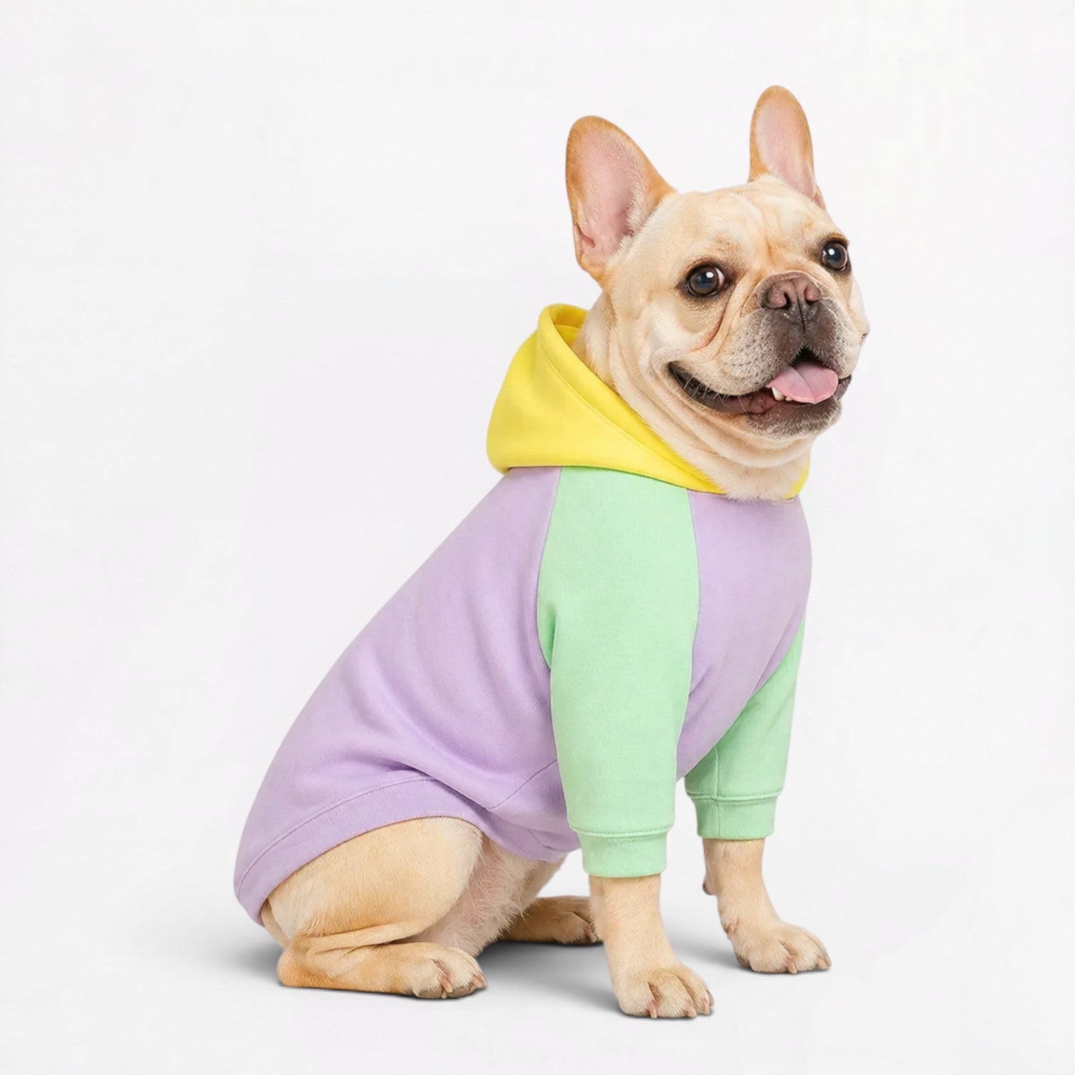 Colorblock-Pastel-Human-Matching-Hoodie.jpg
