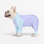 Cooling-Insect-Repellent-Frenchie-Pajamas.jpg