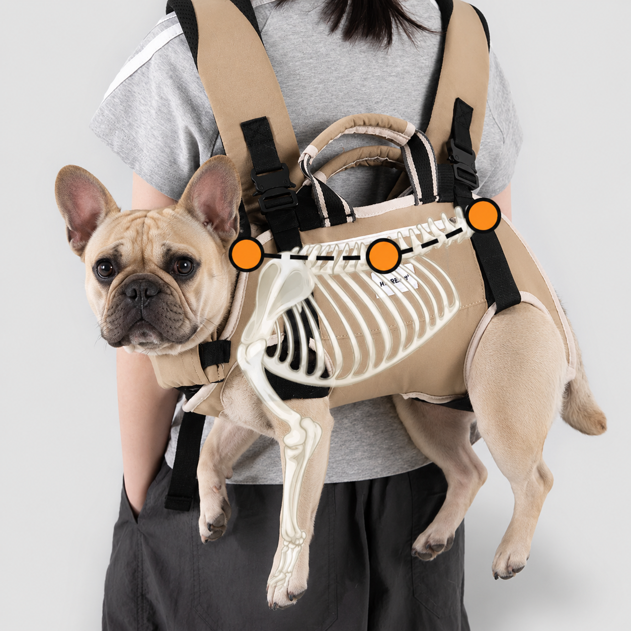 French-Bulldog-Adjustable-Backpack-Carrier.jpg