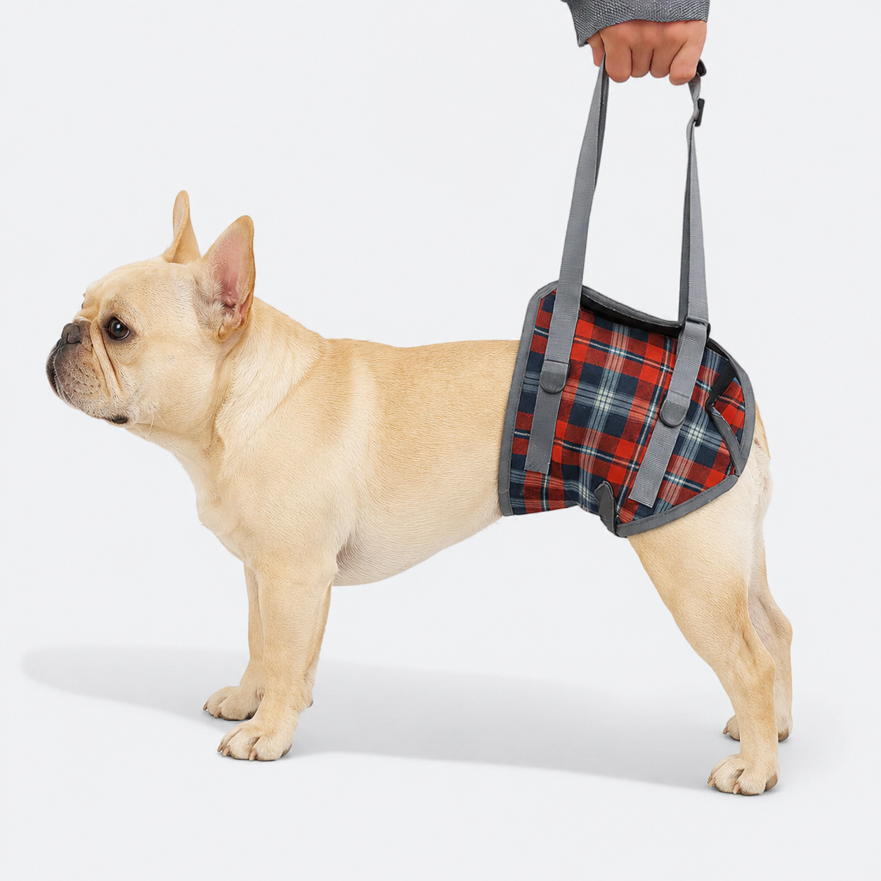 French-Bulldog-Adjustable-Lift-Harness.jpg
