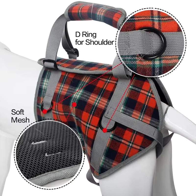 French-Bulldog-Adjustable-Lift-Harness.jpg