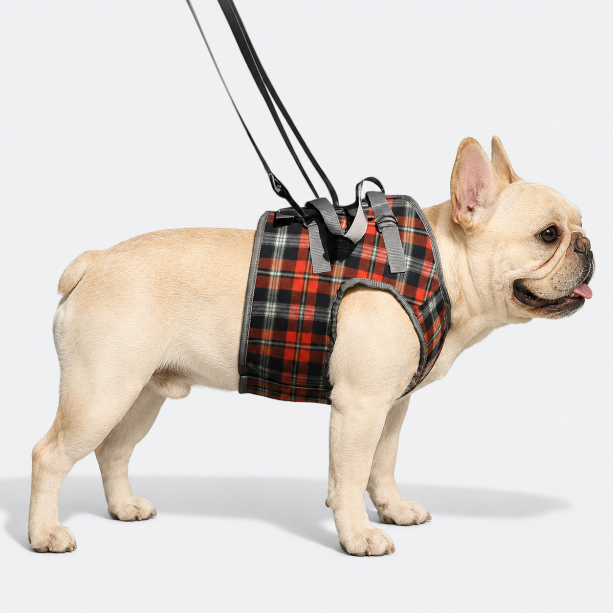 French-Bulldog-Adjustable-Lift-Harness.jpg