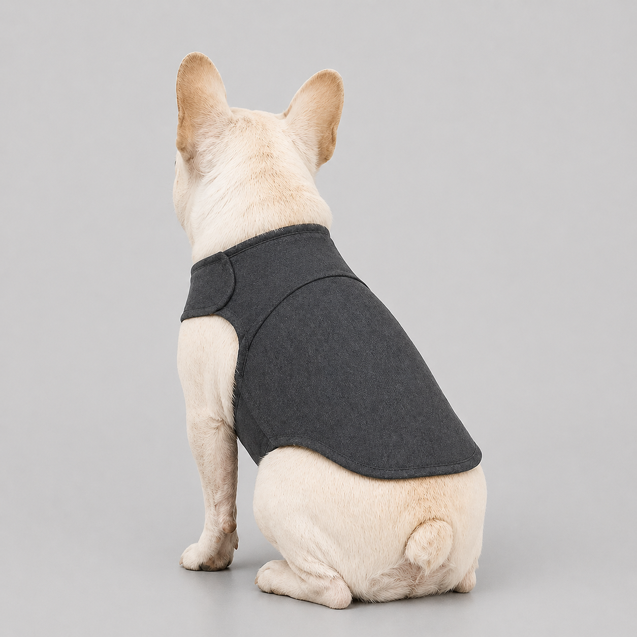 French-Bulldog-Anxiety-Relief-Vest.jpg