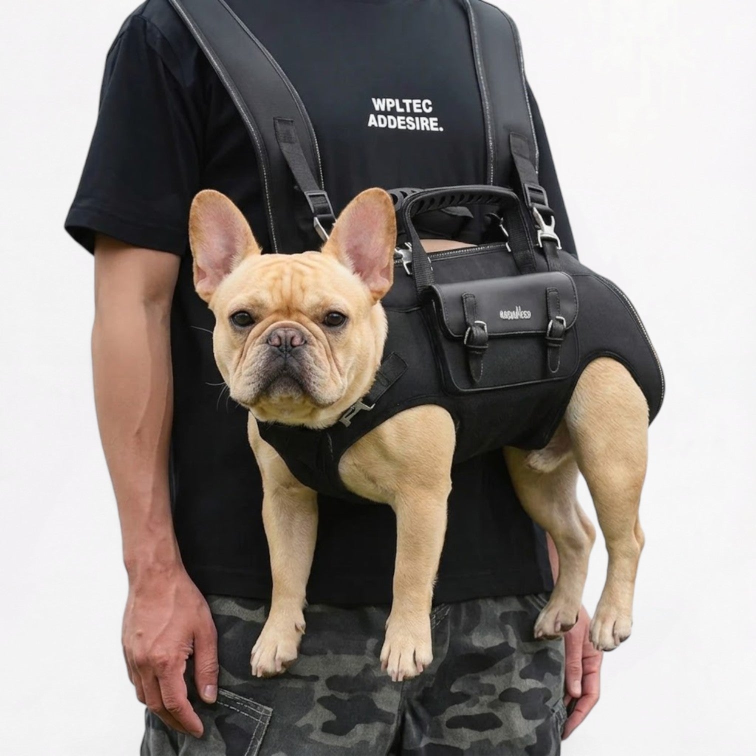French-Bulldog-Backpack-Carrier.jpg