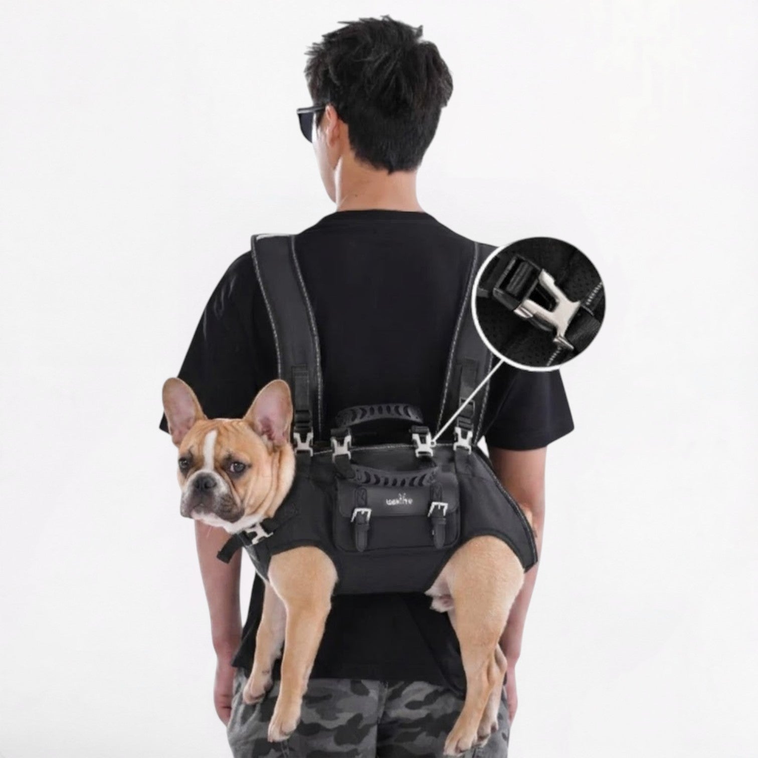 French-Bulldog-Backpack-Carrier.jpg