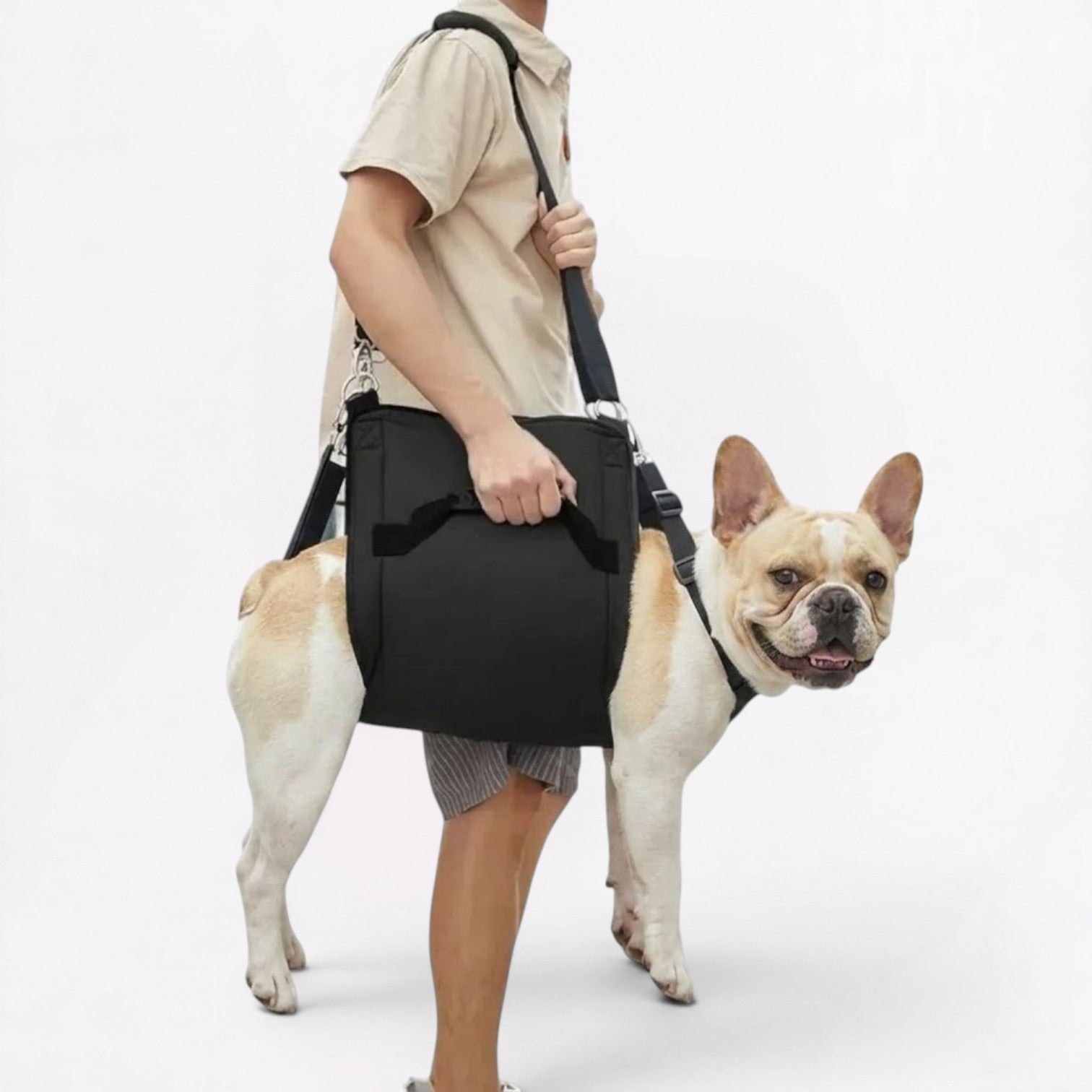French-Bulldog-Belly-Lift-Sling.jpg