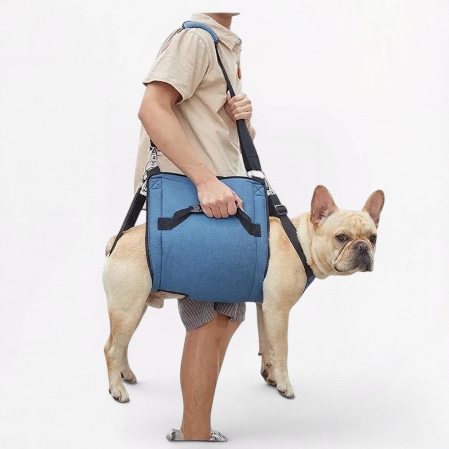 French-Bulldog-Belly-Lift-Sling.jpg