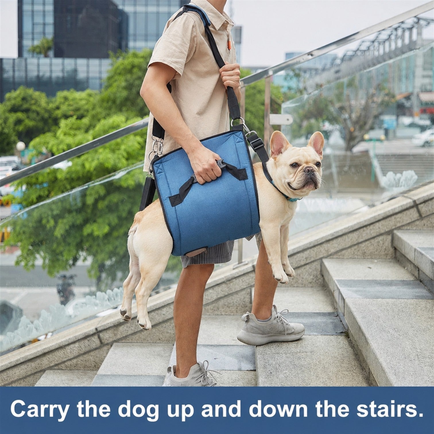 French-Bulldog-Belly-Lift-Sling.jpg