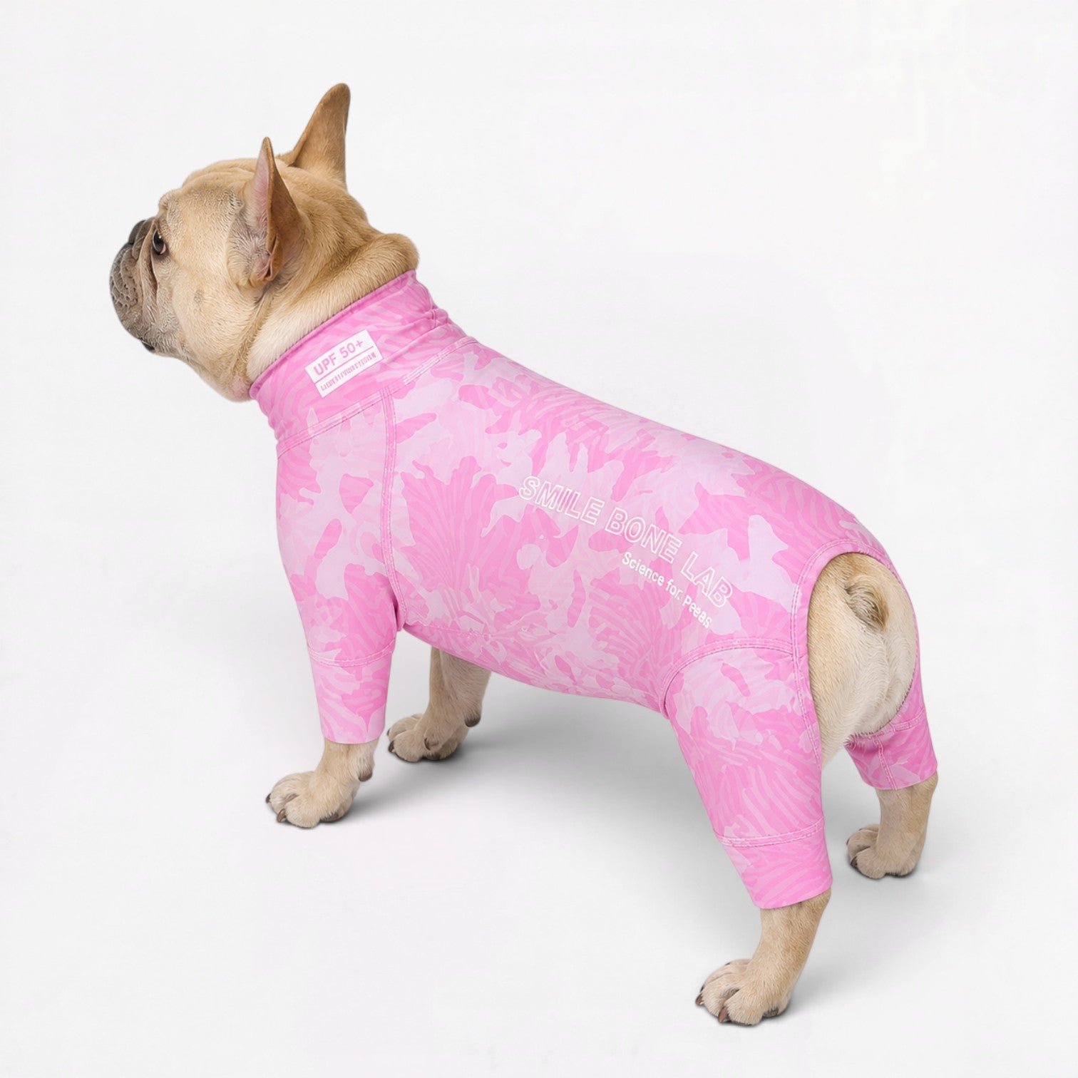 French-Bulldog-Breathable-Sunsuit-Pajamas.jpg