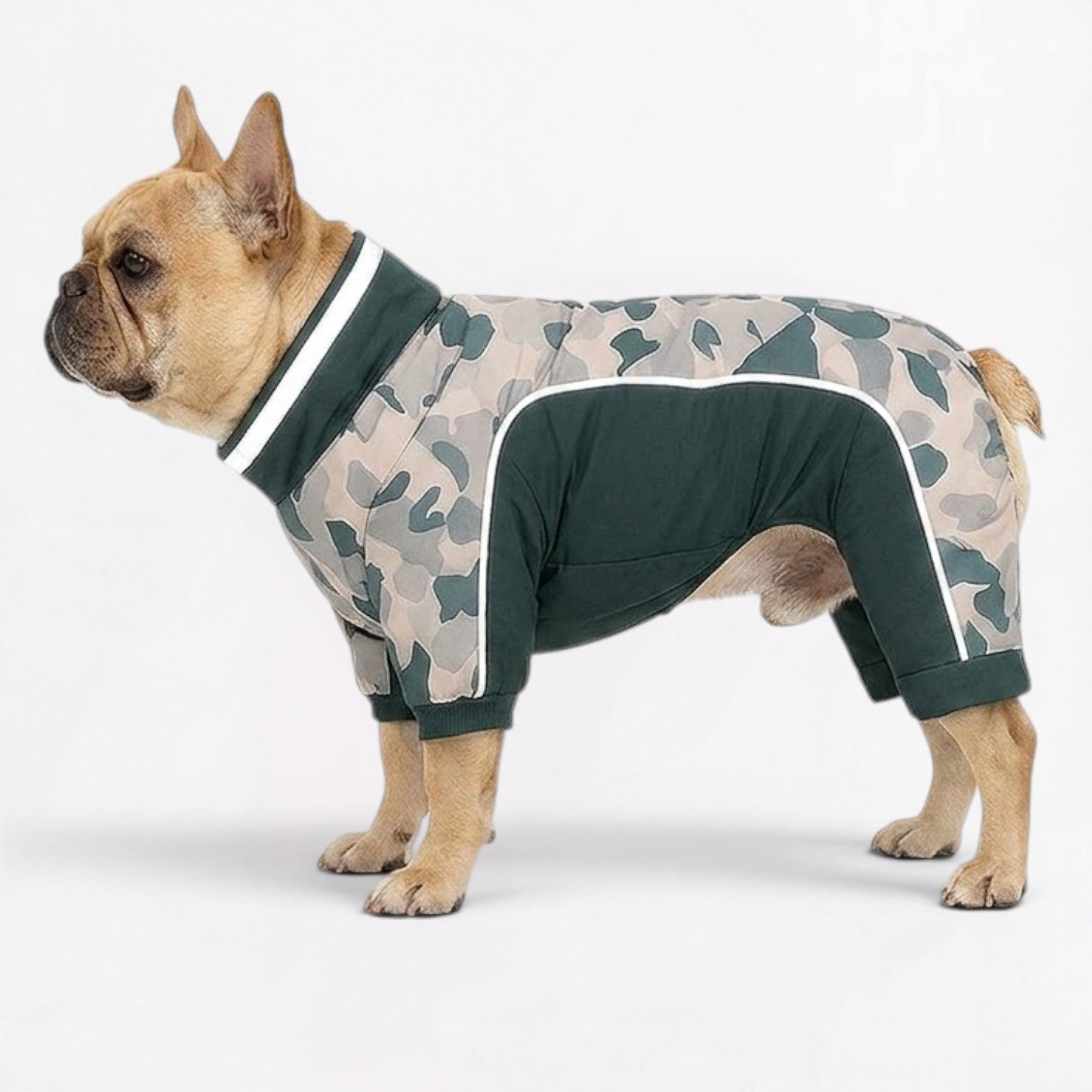 French-Bulldog-Camo-Winter-Jumpsuit.jpg