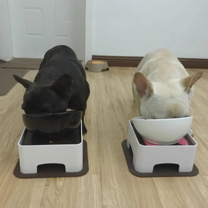 French-Bulldog-Ceramic-Elevated-Bowl.jpg