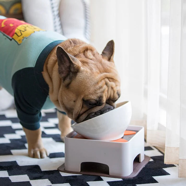French-Bulldog-Ceramic-Elevated-Bowl.jpg