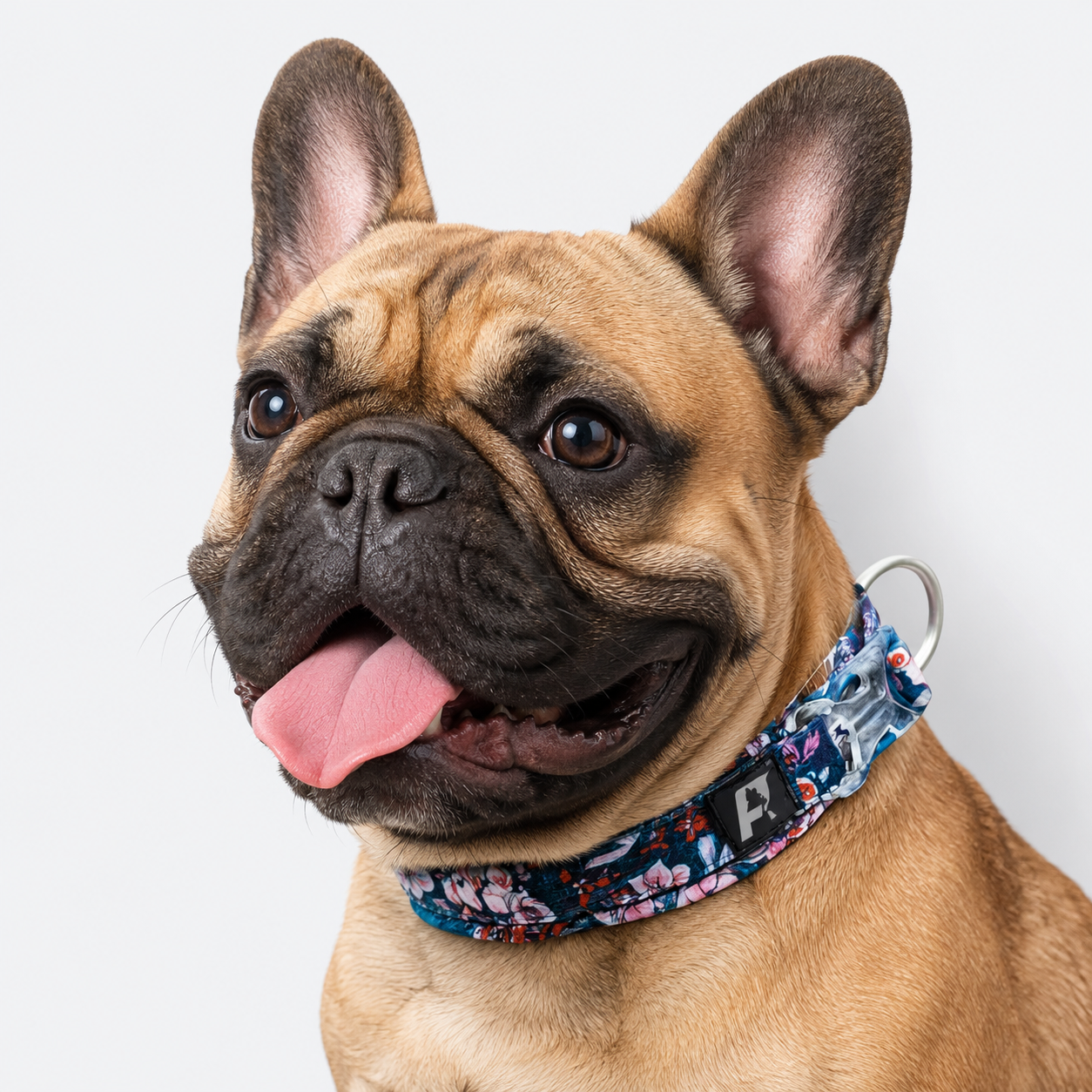 French-Bulldog-Cotton-Padded-Floral-Collar.jpg