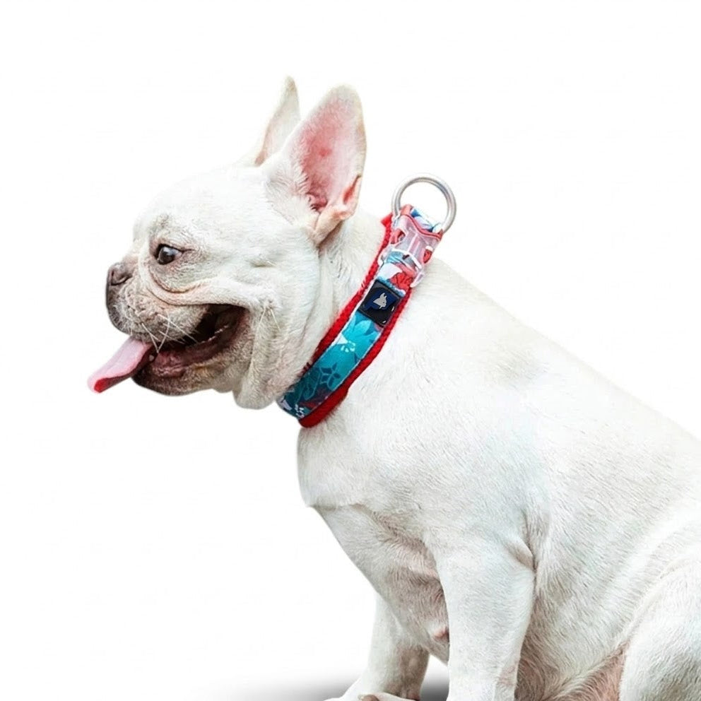 French-Bulldog-Cotton-Padded-Floral-Collar.jpg