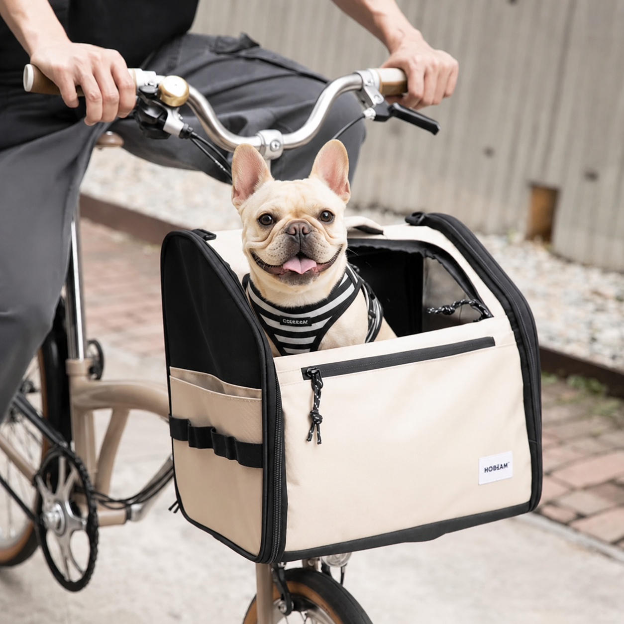 French-Bulldog-Detachable-Bike-Carrier-Bag.jpg