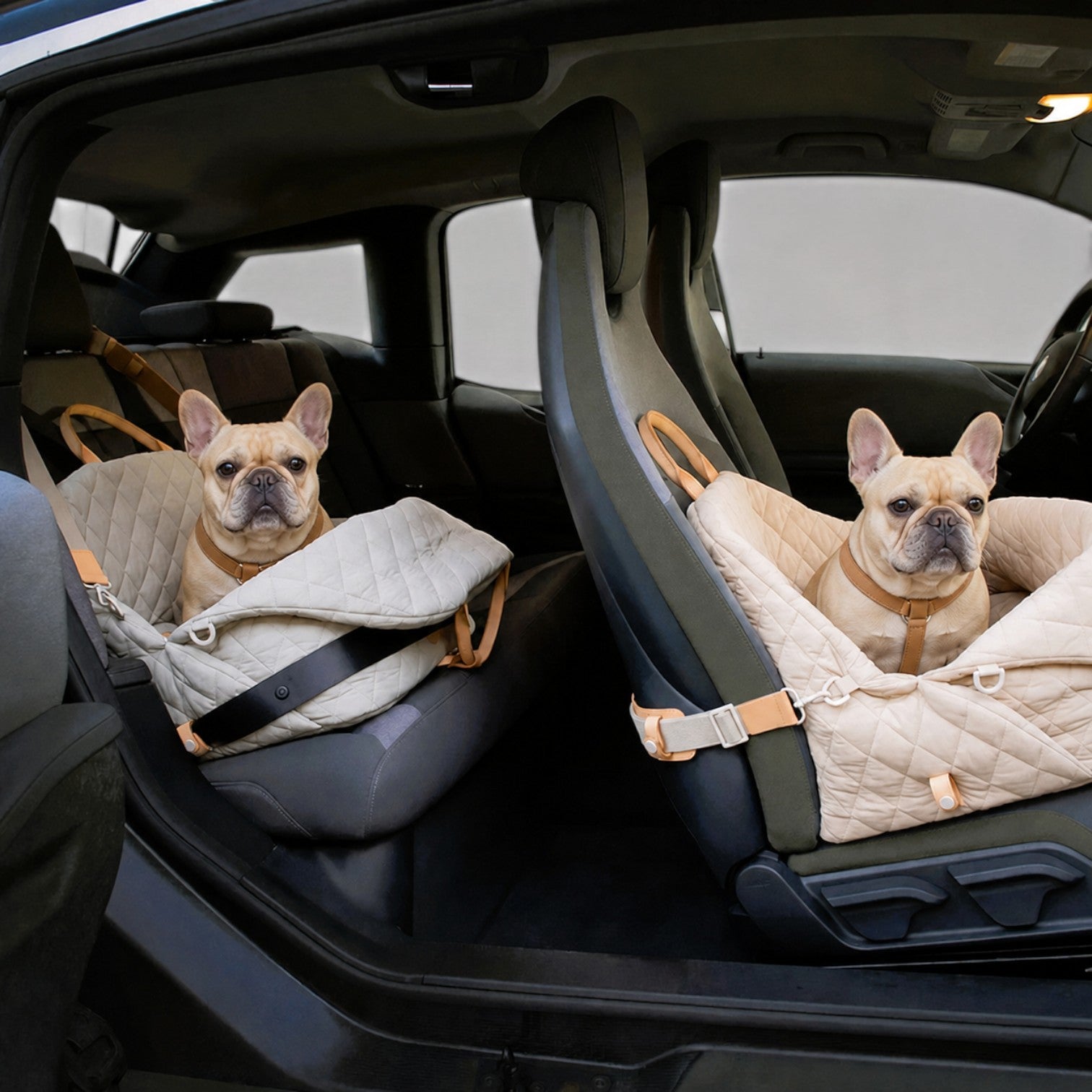 French Bulldog Foldable Carrier Bag