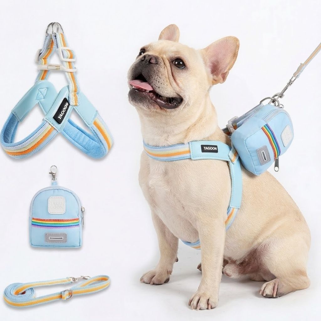 French-Bulldog-Harness-Leash-Set.jpg