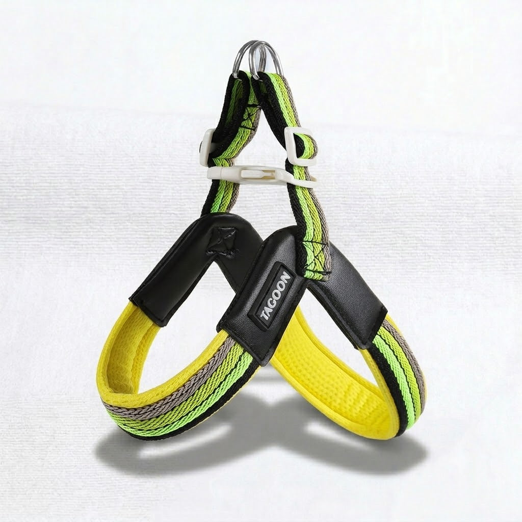 French-Bulldog-Harness-Leash-Set.jpg