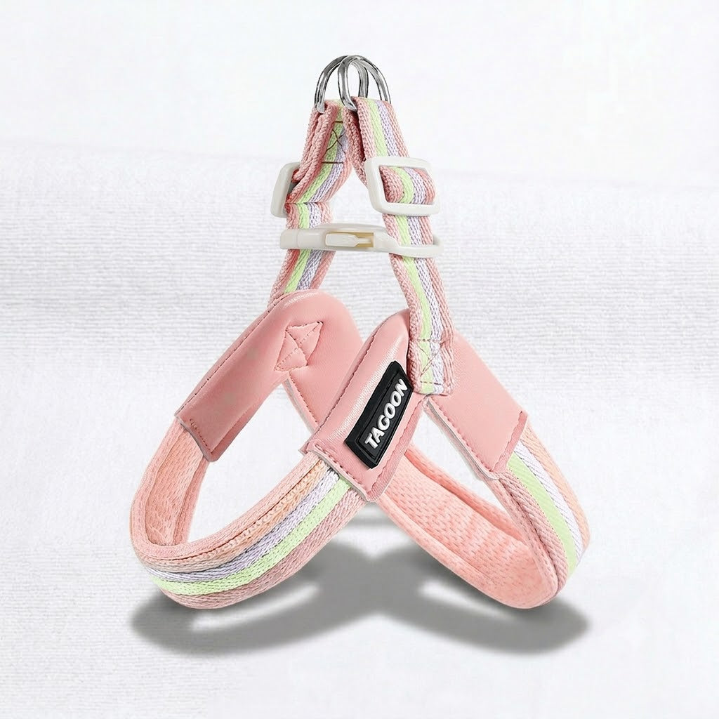 French-Bulldog-Harness-Leash-Set.jpg