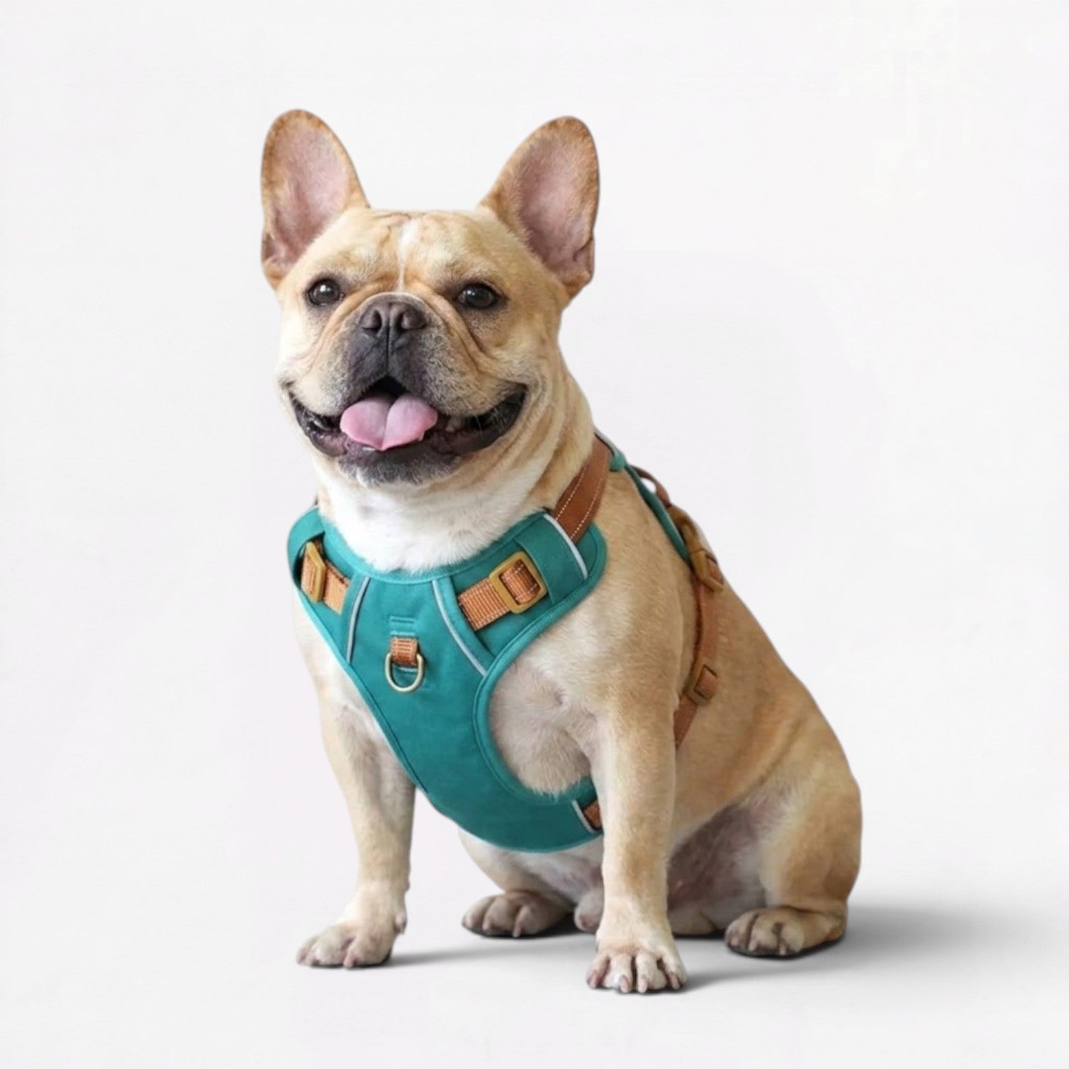 French-Bulldog-No-Pull-Reflective-Harness.jpg