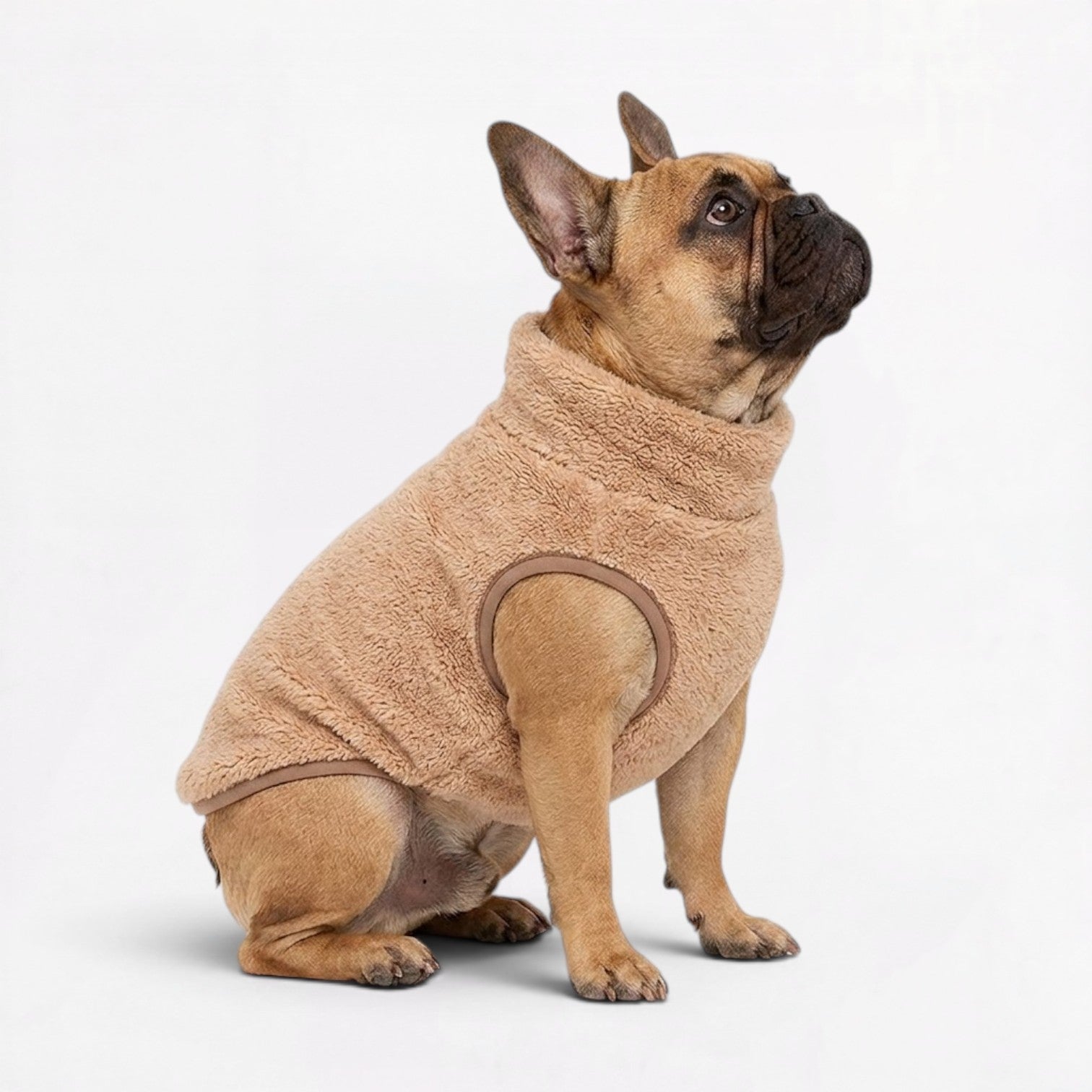 French-Bulldog-Plush-Turtleneck-Coat.jpg
