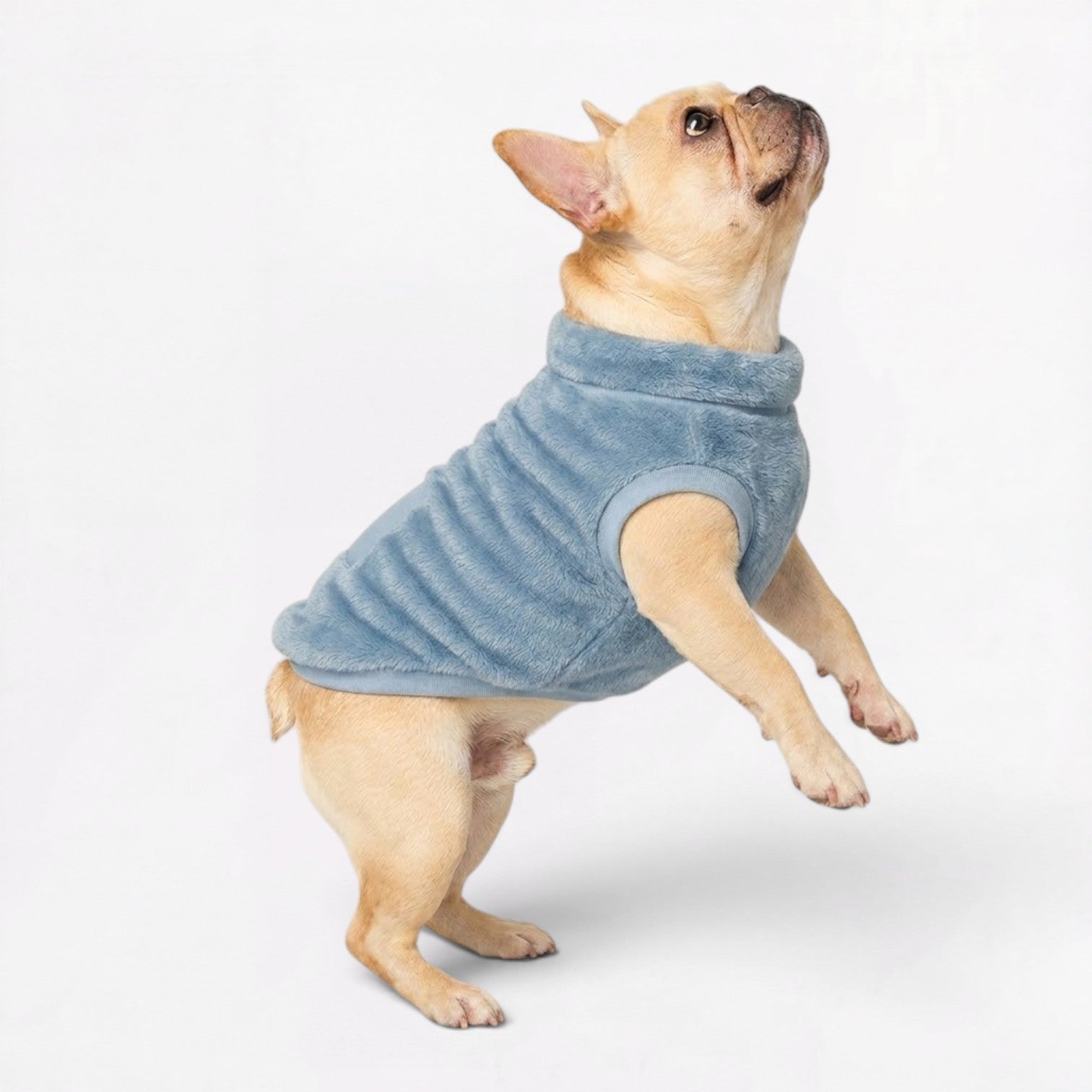 French-Bulldog-Plush-Turtleneck-Coat.jpg
