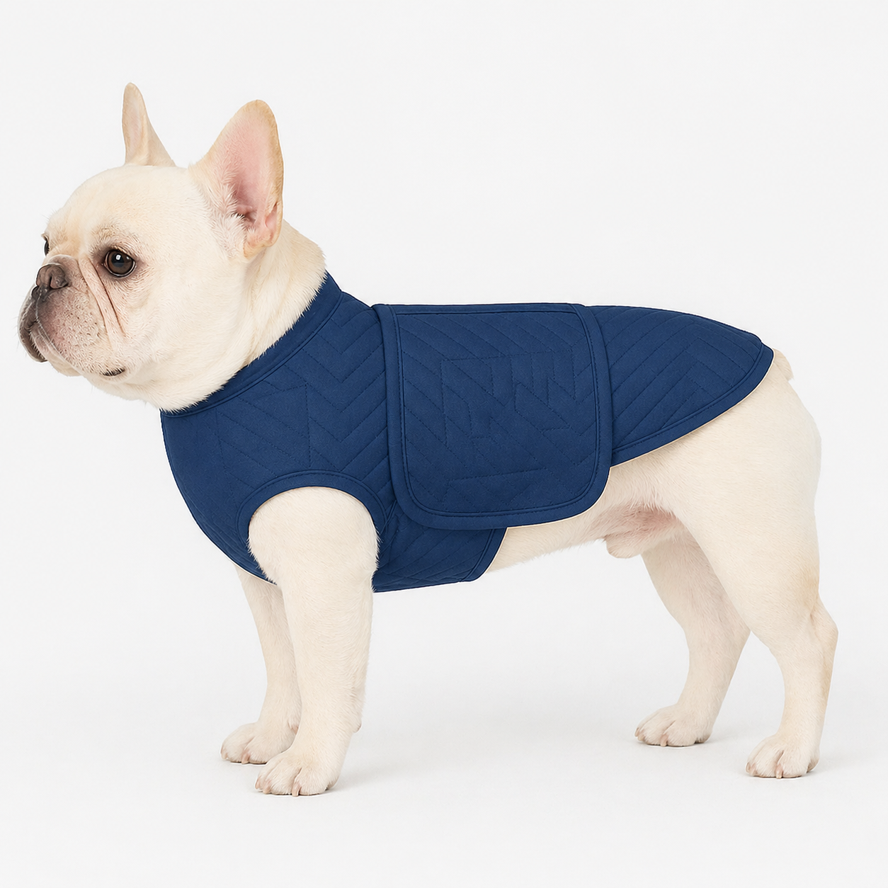 French-Bulldog-Premium-Anxiety-Jacket.jpg