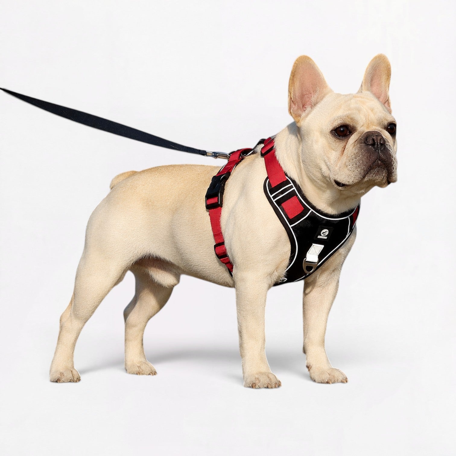 French-Bulldog-Reflective-Harness-Leash-Set.jpg