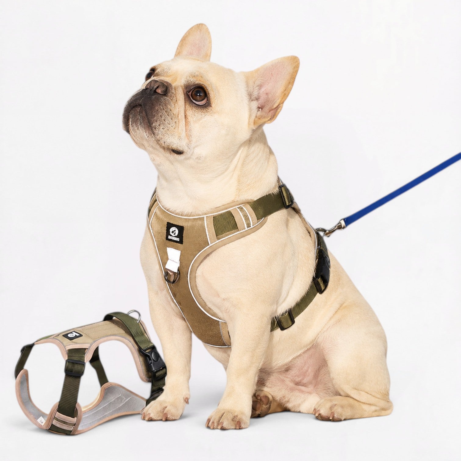 French-Bulldog-Reflective-Harness-Leash-Set.jpg