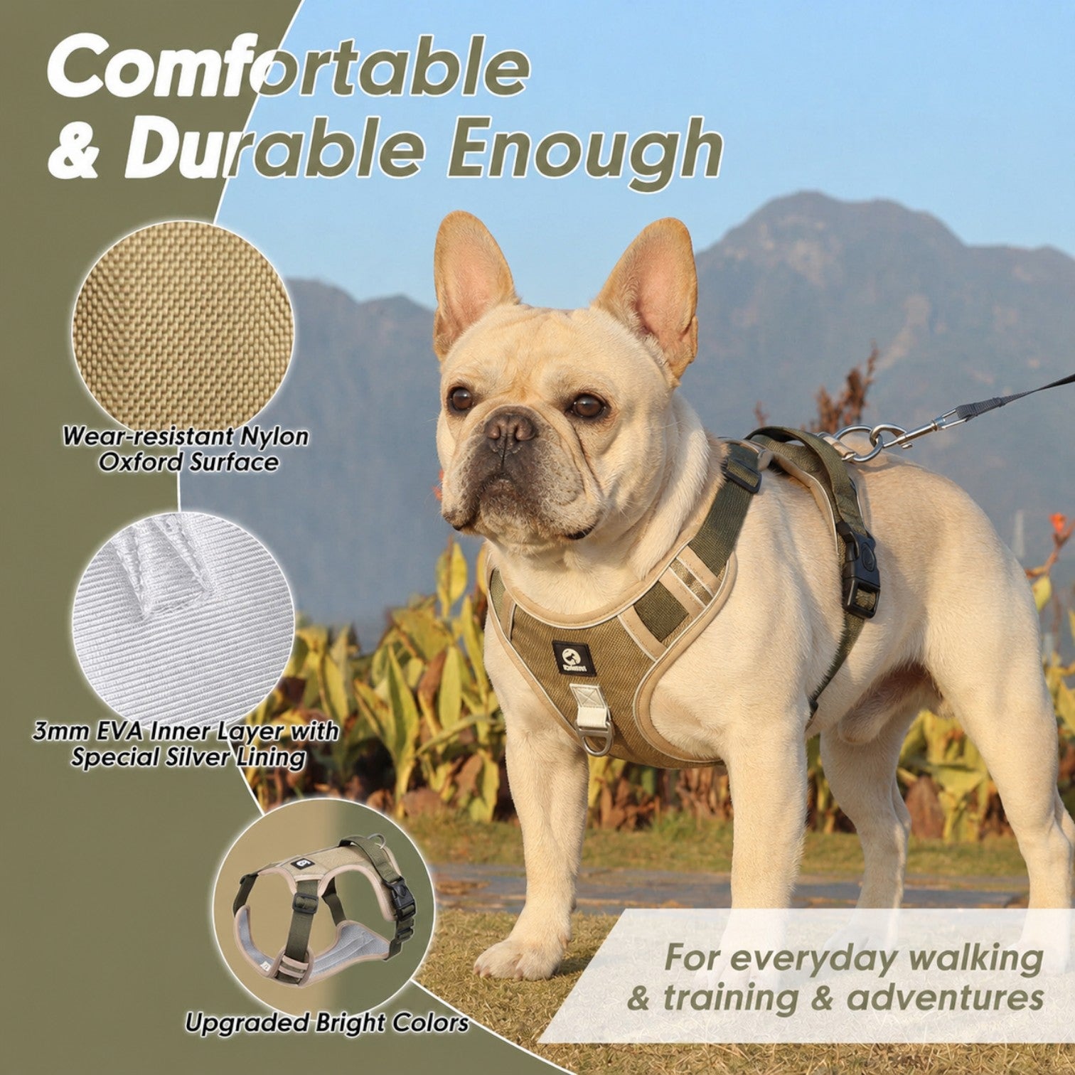 French-Bulldog-Reflective-Harness-Leash-Set.jpg