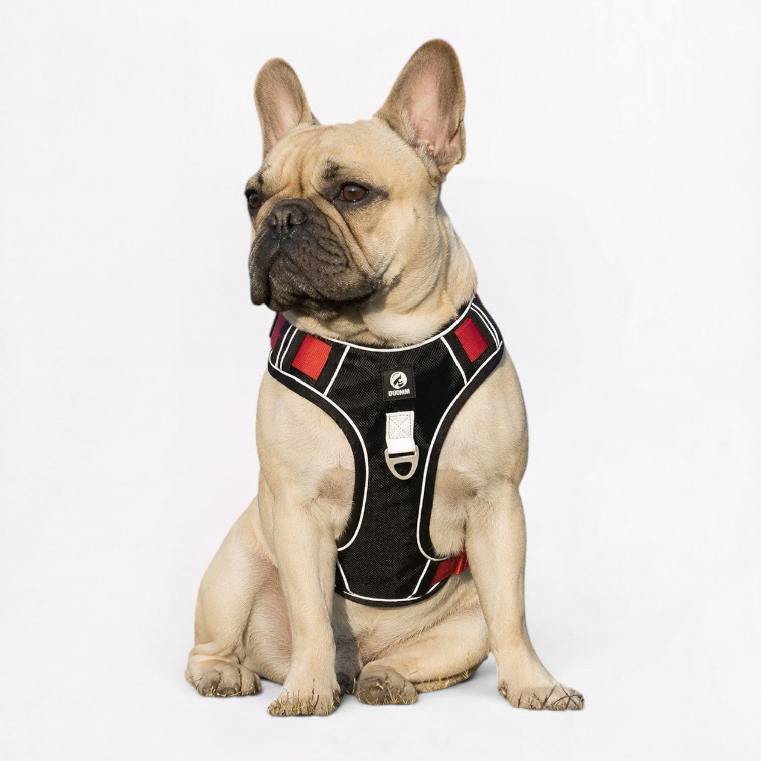 French-Bulldog-Reflective-Harness-Leash-Set.jpg