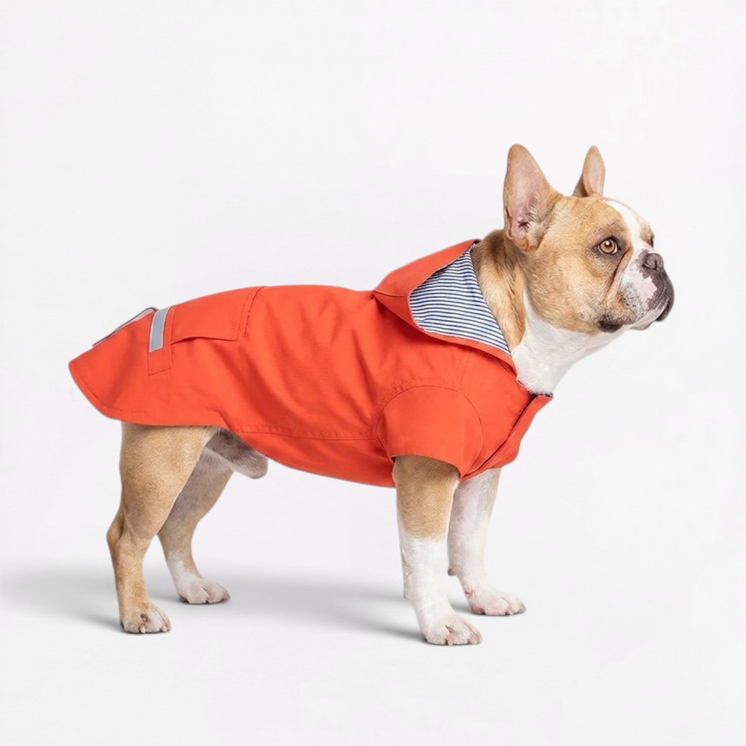 French-Bulldog-Reflective-Hooded-Raincoat.jpg
