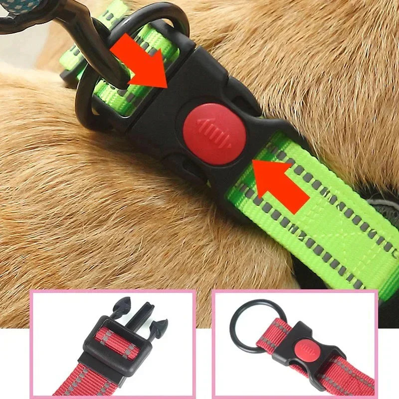 French-Bulldog-Reflective-No-Pull-Collar.jpg