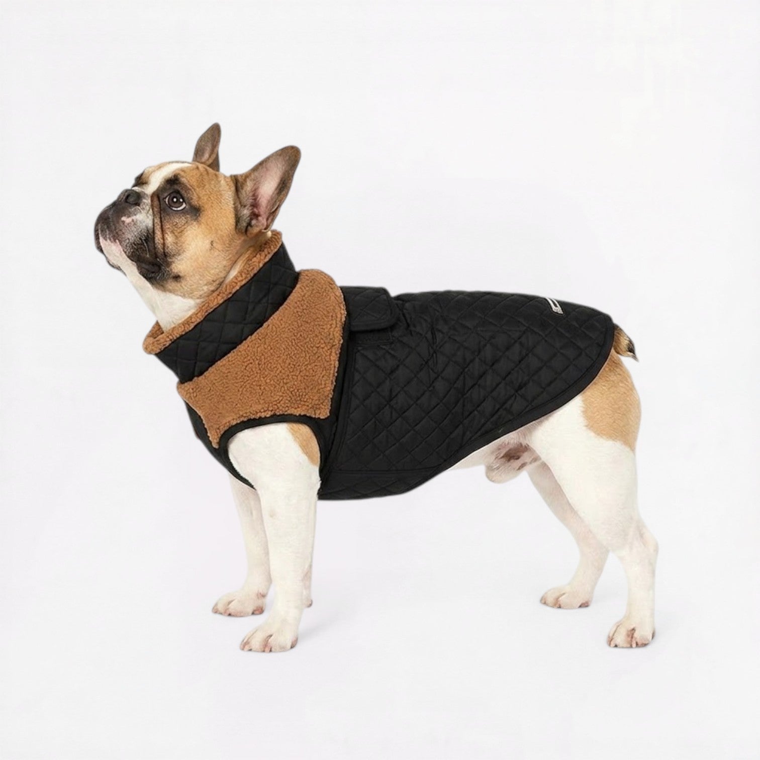 French-Bulldog-Sherpa-Winter-Jacket.jpg
