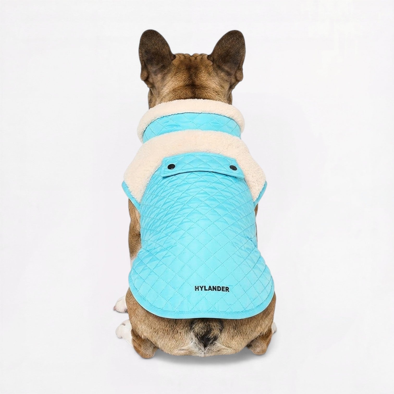 French-Bulldog-Sherpa-Winter-Jacket.jpg