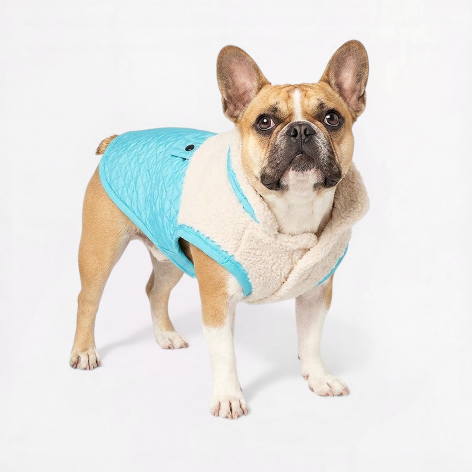 French-Bulldog-Sherpa-Winter-Jacket.jpg