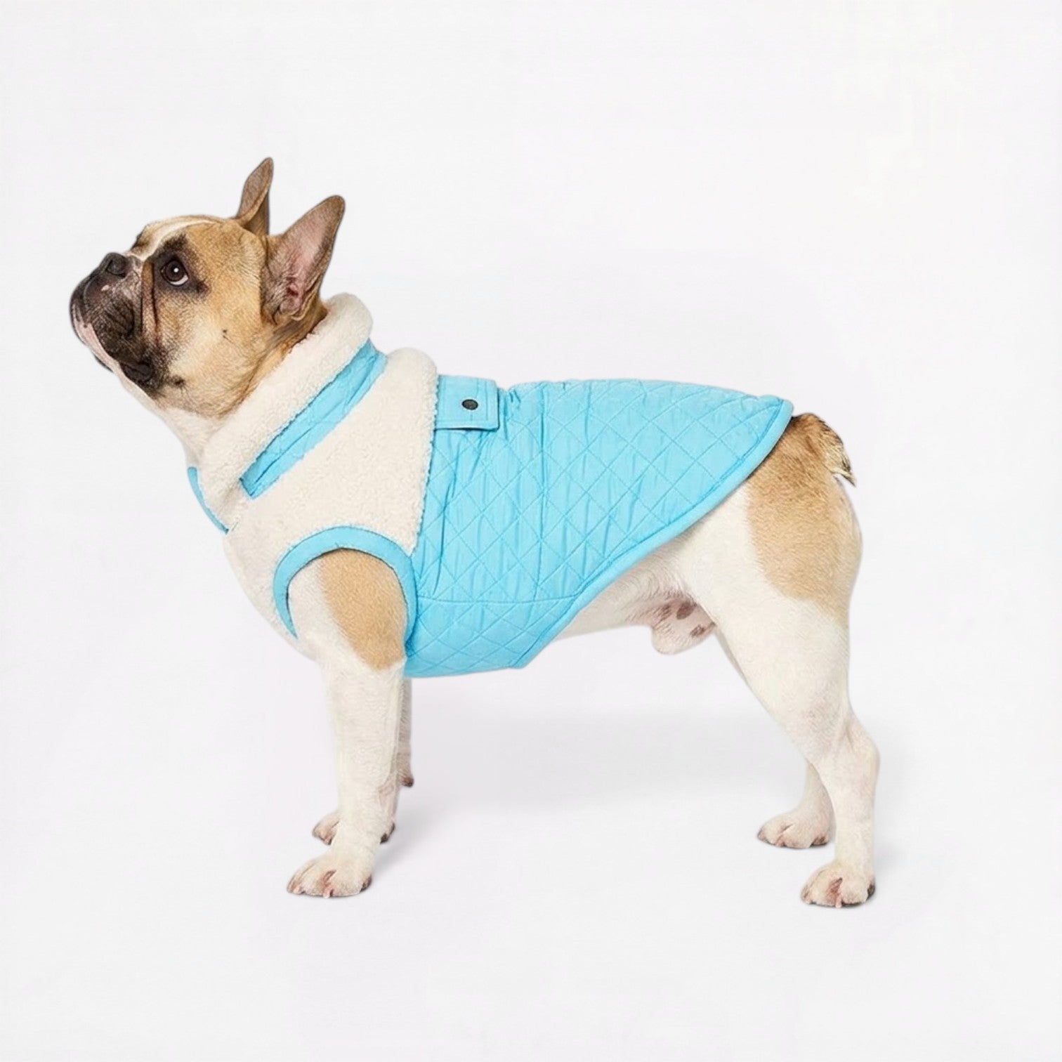 French-Bulldog-Sherpa-Winter-Jacket.jpg