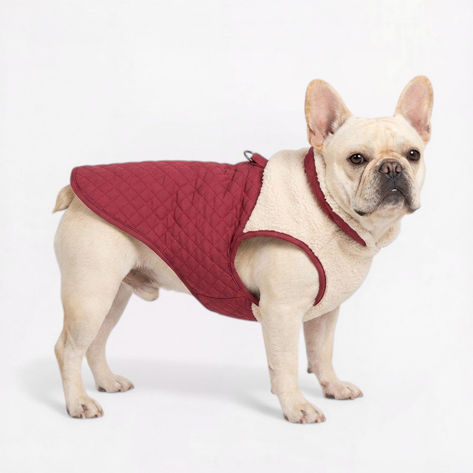French-Bulldog-Sherpa-Winter-Jacket.jpg