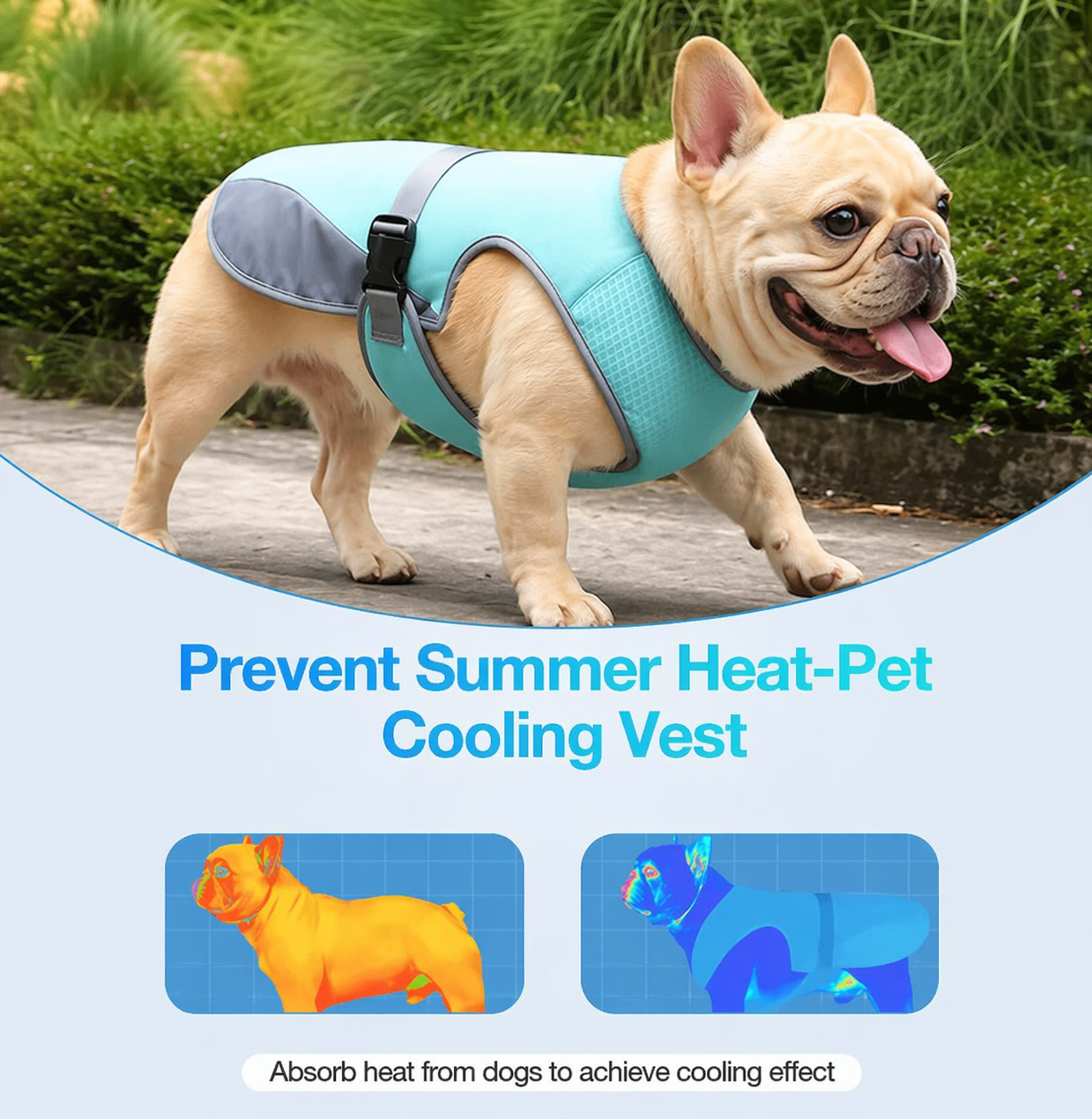 French-Bulldog-Summer-Cooling-Vest.jpg