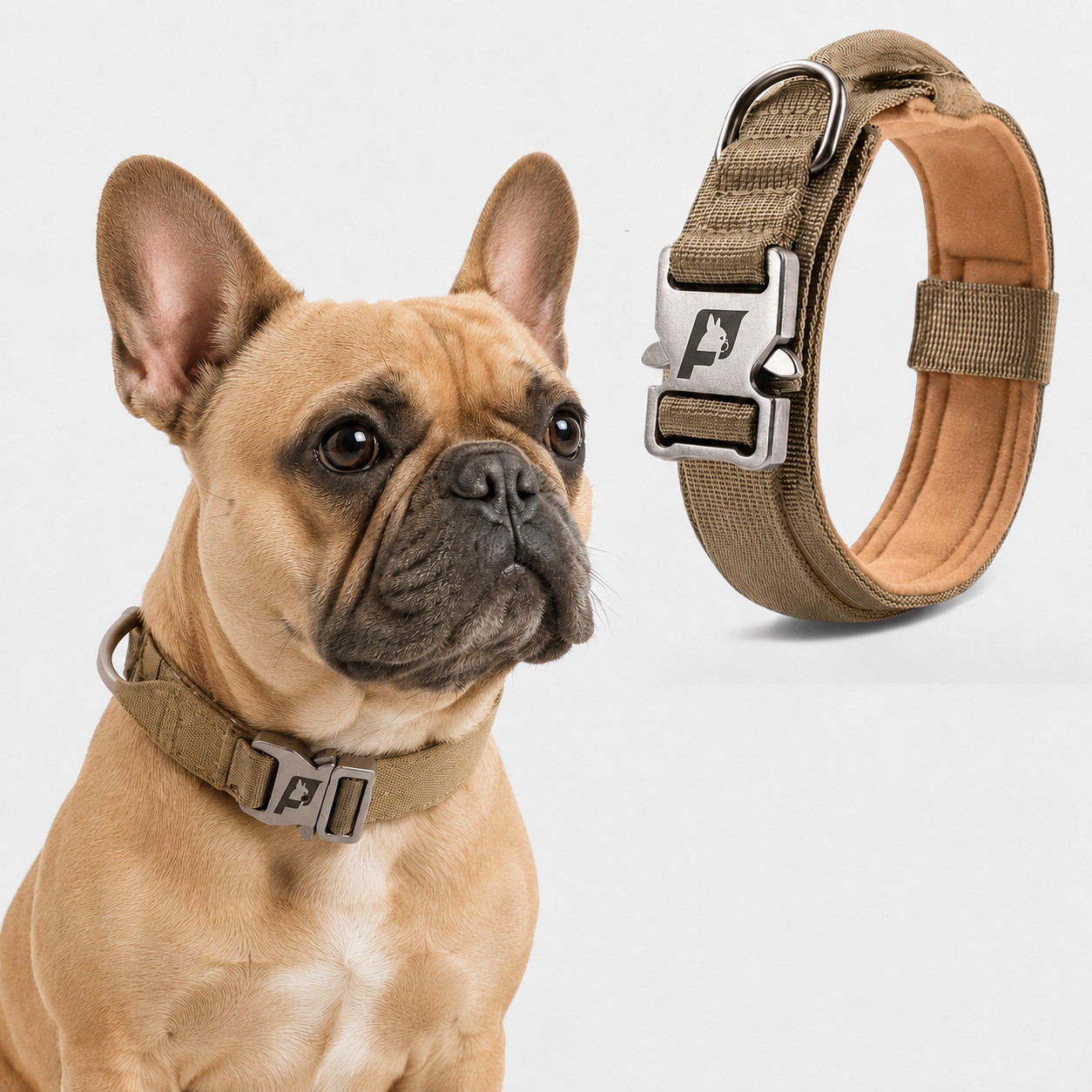 French-Bulldog-Tactical-No-Pull-Collar.jpg