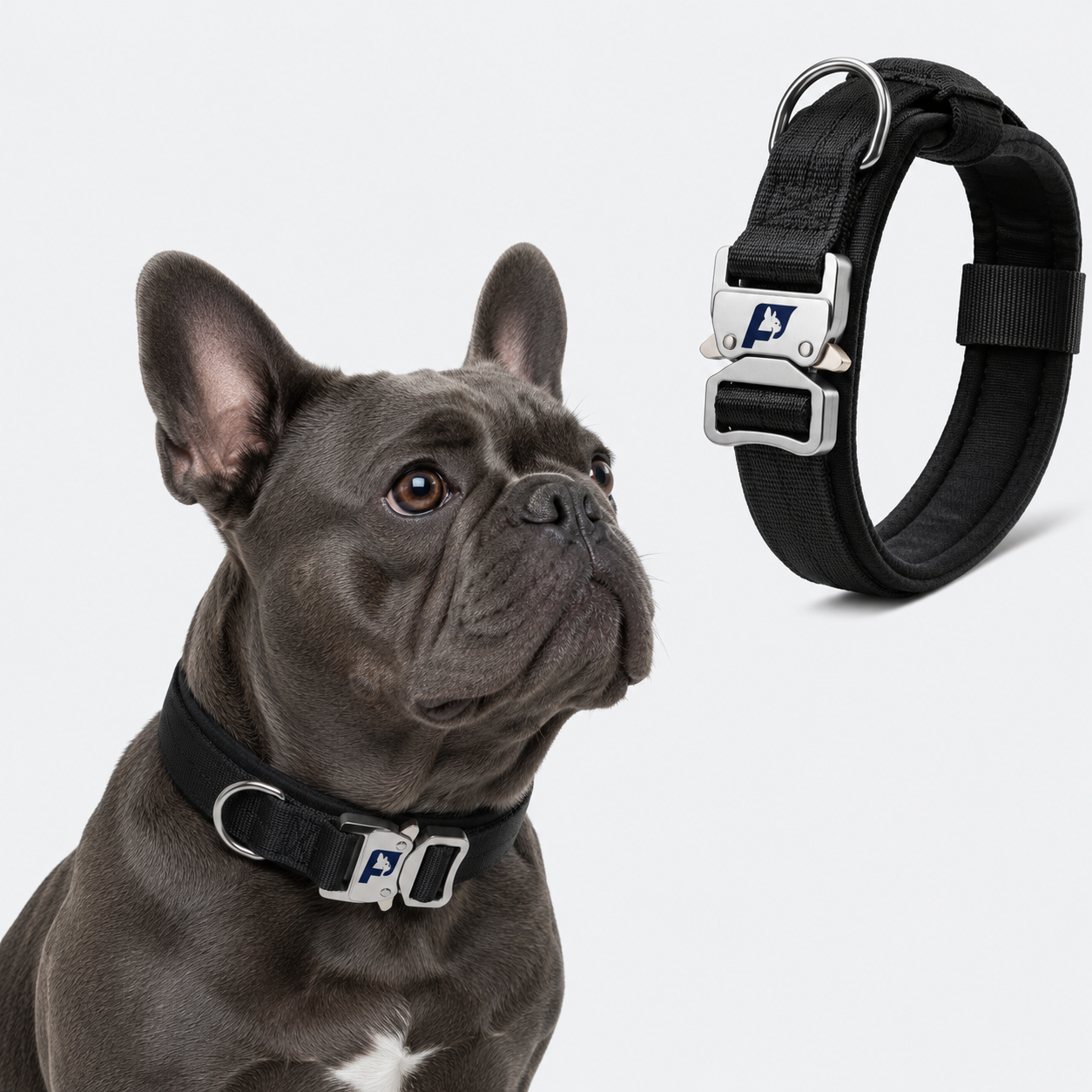French-Bulldog-Tactical-No-Pull-Collar.jpg
