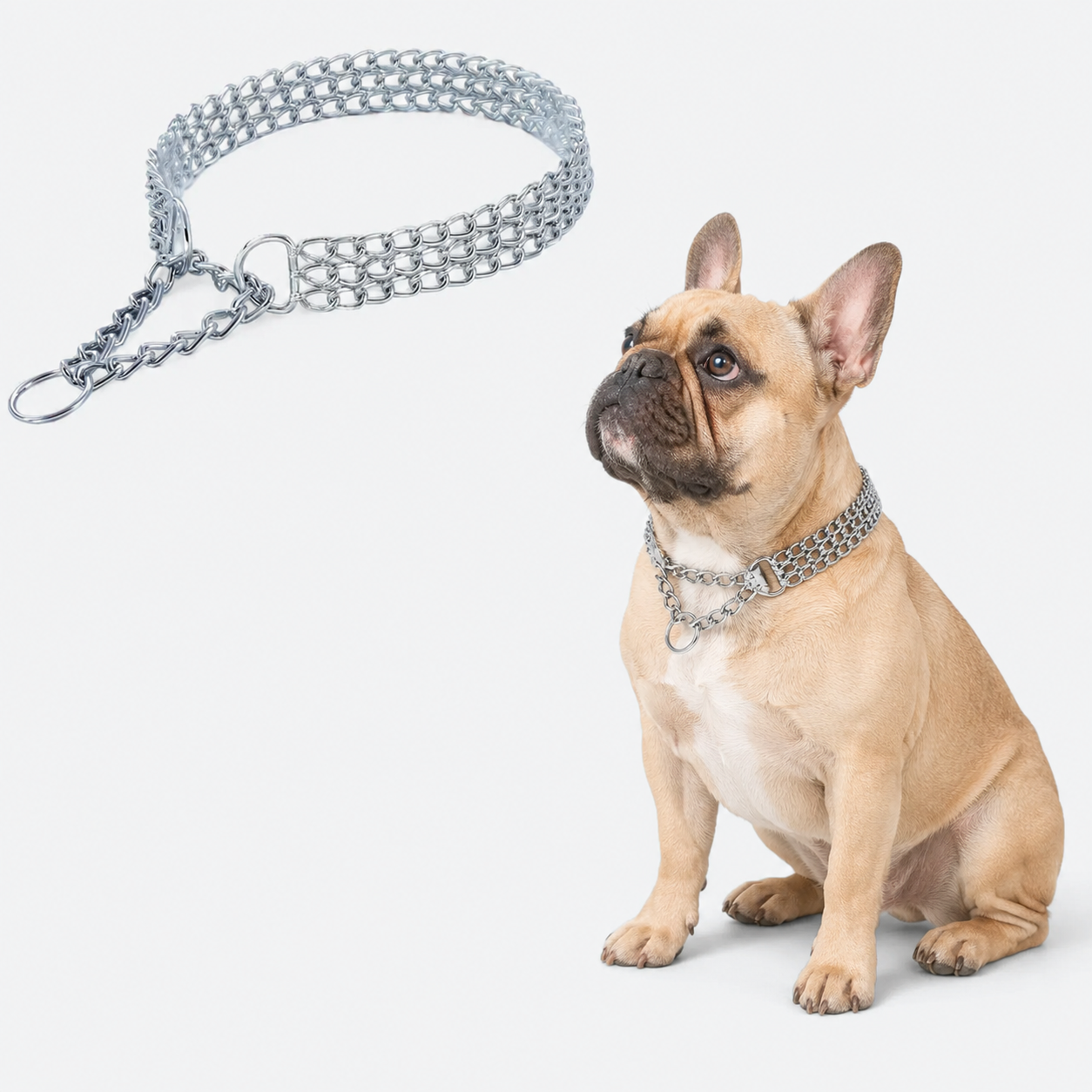 French-Bulldog-Triple-Cuban-Chain-Collar.jpg