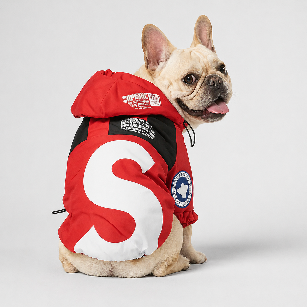French-Bulldog-Waterproof-Reflective-Sports-Jacket.jpg