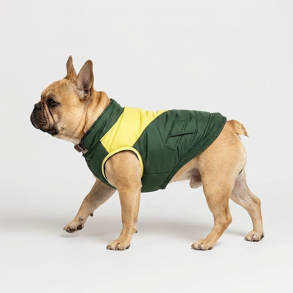 French-Bulldog-Windproof-Padded-Winter-Coat.jpg