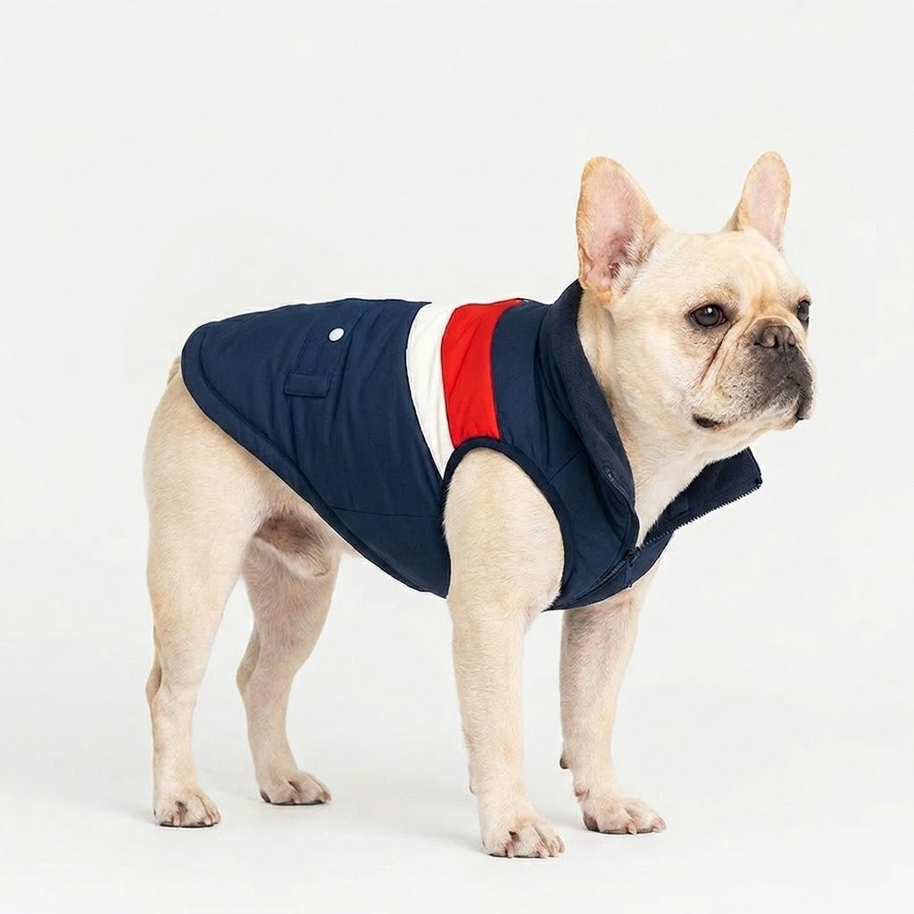French-Bulldog-Windproof-Padded-Winter-Coat.jpg